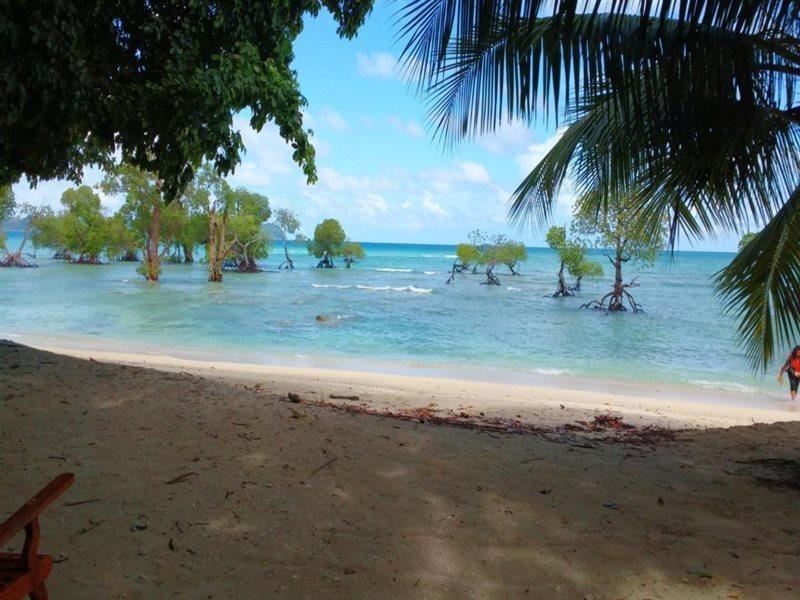 Coconhuts Beach Resort Lakshmanpur Buitenkant foto