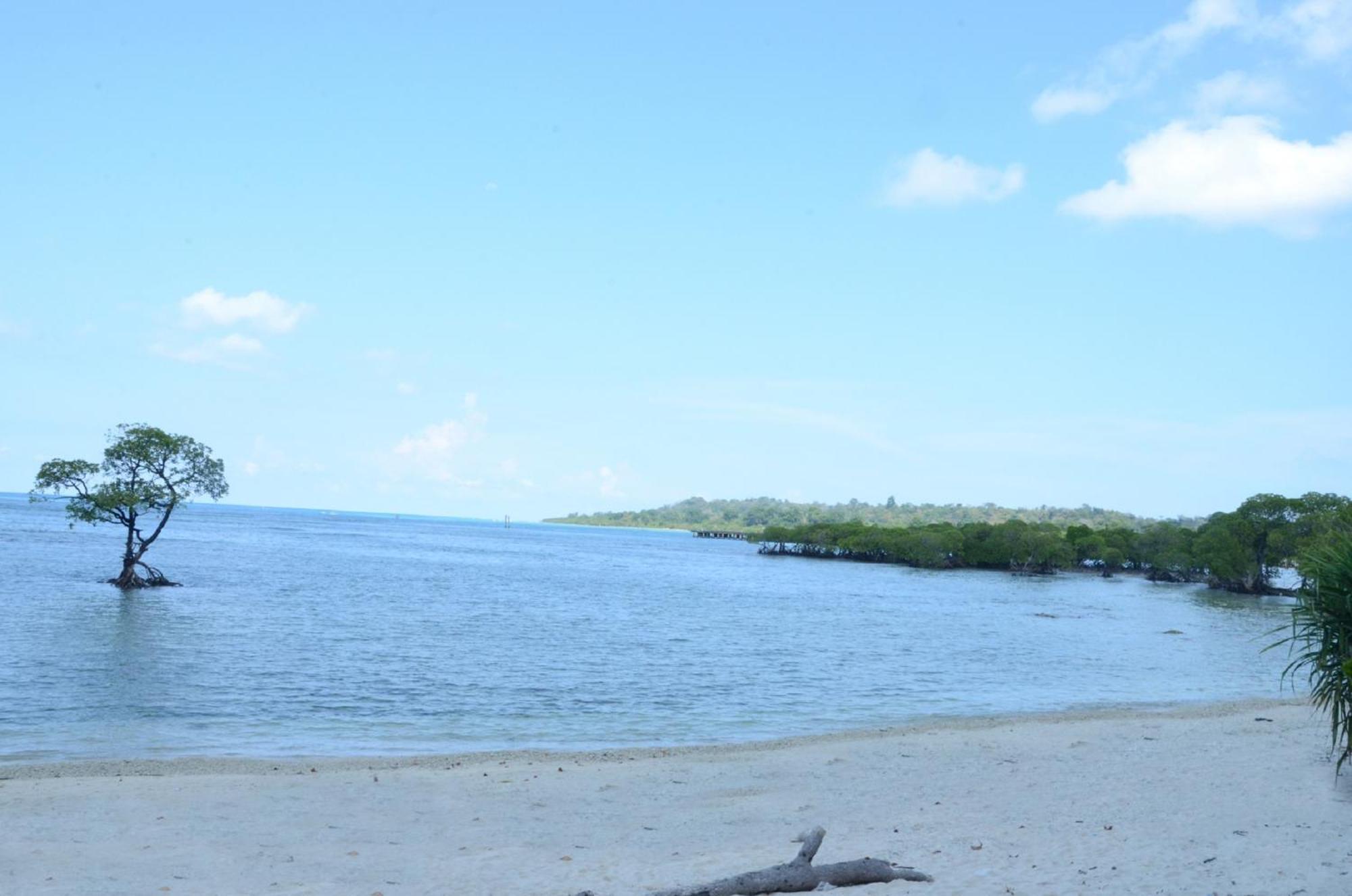Coconhuts Beach Resort Lakshmanpur Buitenkant foto