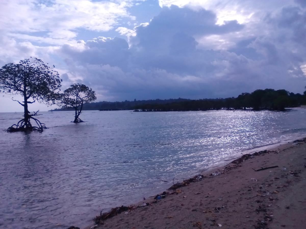 Coconhuts Beach Resort Lakshmanpur Buitenkant foto